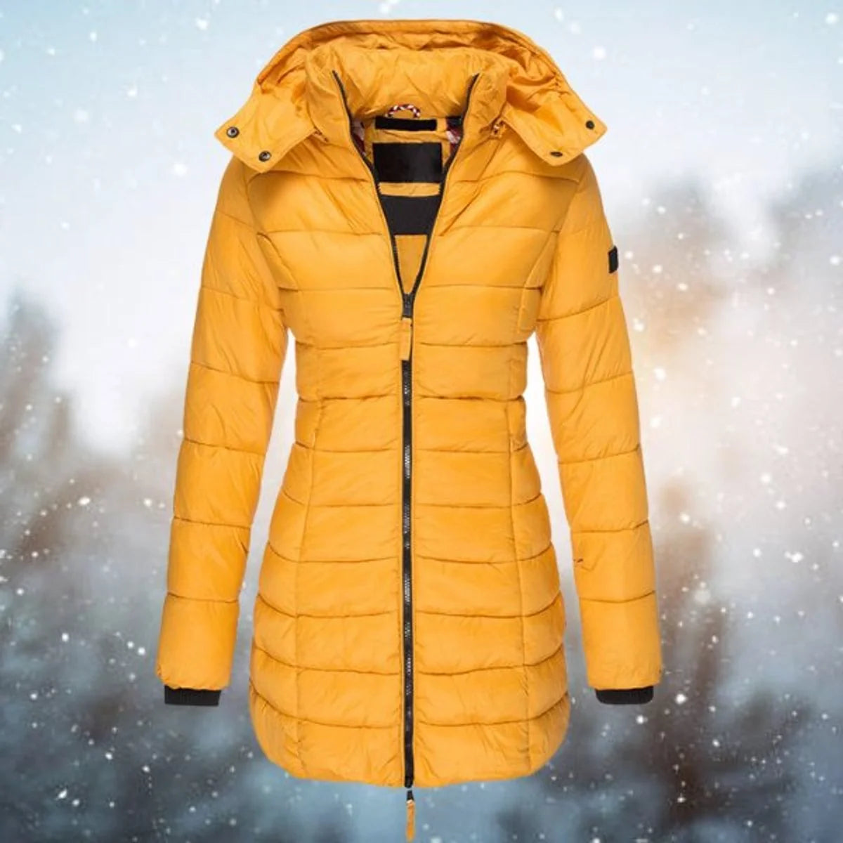 Emilia | Damen Steppjacke mit Kapuze tailliert warm gefüttert