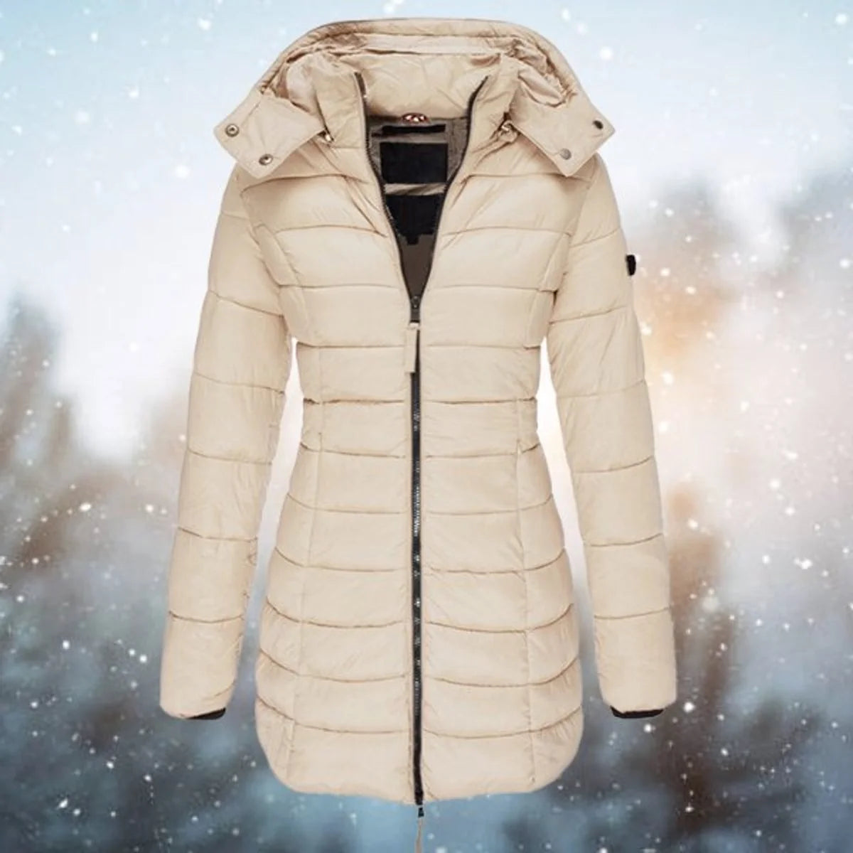 Emilia | Damen Steppjacke mit Kapuze tailliert warm gefüttert